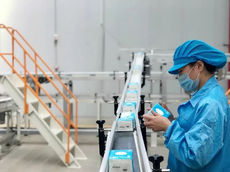 如何评估卫生纸质量：吸收性、柔软度和溶解性 | 汇邦纸业 OEM 供应商